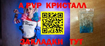 стафф Брянск