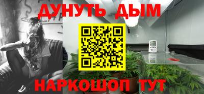стафф Брянск
